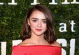 Maisie Williams had a pretty awkward encounter with Bono