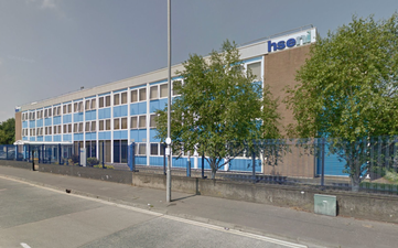 An elderly Irish woman has died after a being attacked by cattle