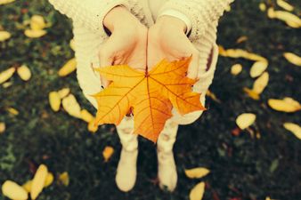 These are the most pinned boots for autumn winter and we can see why