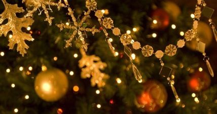 Aldi has the best Christmas tree on sale