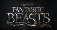 Win a pair of tickets to the European Premiere of Fantastic Beasts And Where To Find Them in London