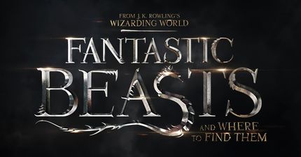 Win a pair of tickets to the European Premiere of Fantastic Beasts And Where To Find Them in London