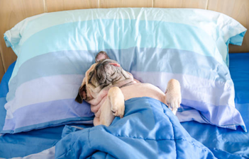 Ugh, this common sleeping habit is apparently bad for you