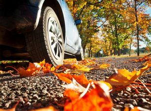 This woman accidentally stole a car and her apology was very cute