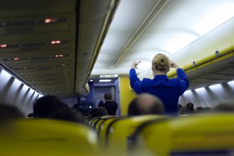 Ever wanted to be a flight attendant? Well, now is your chance