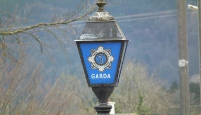 Family pet killed at a break-in in Armagh