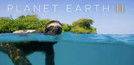 Everyone was loving the return of Planet Earth last night