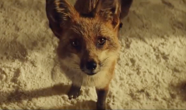 There is already a parody version of the John Lewis advert