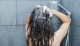 Busting the myths of hot drinks and cold showers in hot weather