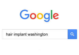 Leaked: Donald Trump’s post-election Google searches