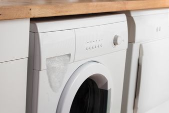 An Irish boy was saved by a dog after getting trapped in the tumble dryer