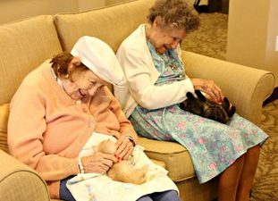 Orphaned kittens find a perfect home in an elderly care centre