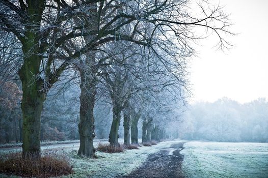 If you think the weather is picking up today, think again