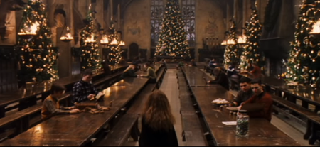 Harry Potter lovers need to see this super-fan’s Christmas Tree