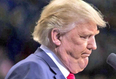Donald Trump wants this photo of himself removed from the Internet