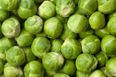 Here’s the correct way to cook Brussel Sprouts