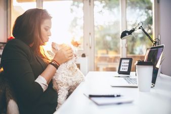 You should never, EVER kiss your dog. If you need more details, here’s why…