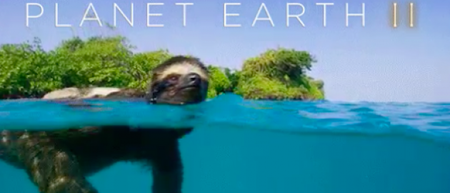 The BBC want to make another Planet Earth