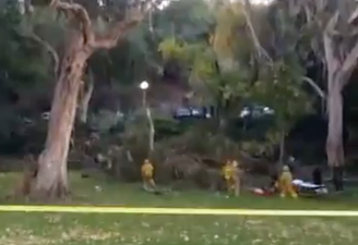 A mother of the bride died after a tree fell on the wedding party