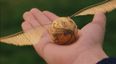 This Golden Snitch engagement box is perfect for Harry Potter fans