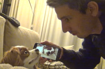 This pup literally can’t cope after hearing how loud he snores