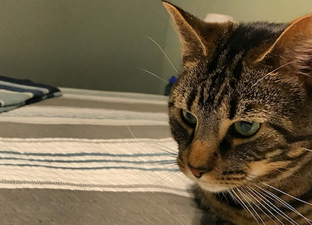 This woman’s online purchase proves you should always read the small print