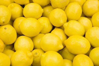 This image of lemons helps women identify signs of breast cancer