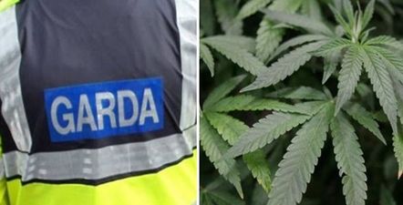 Gardaí seize €200,000 of cannabis in Kerry