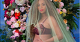 Did Beyoncé reveal the sex of her twins in that pregnancy photoshoot?!