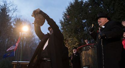 GROUNDHOG DAY: Here’s the latest news from Gobbler’s Knob…