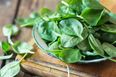 There’s a serious spinach shortage happening right now