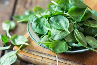 There’s a serious spinach shortage happening right now