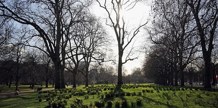 The weather forecast for next week looks pretty good