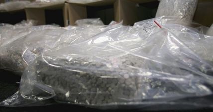 Gardai seize €50,000 worth of ecstasy and cannabis due to be sold at RAG week in Galway