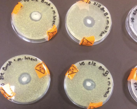 This amazing breastmilk experiment is quickly becoming massively viral