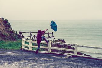 TWEETS: People all over Ireland are losing their sh*t as Storm Doris makes her presence felt