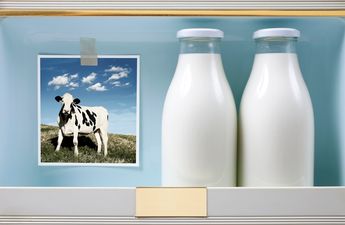 Still keeping milk in the door of your fridge? You really shouldn’t do that…