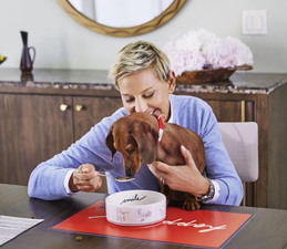 Game show hosted by Ellen Degeneres? Yes please