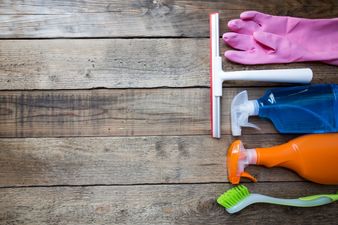 Bacteria watch: 7 dirty things to clean in your home immediately