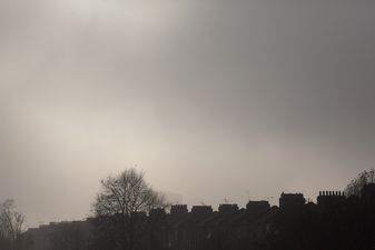 One-year-old boy dies and girl critically ill after incident in London