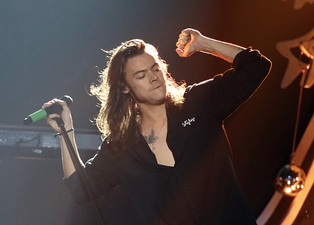 People think something very NSFW is happening in Harry Styles’ artwork