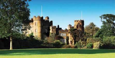 All our Harry Potter wishes are coming true with this Easter event