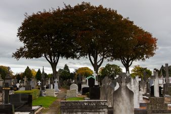 Glasnevin 1916 memorial wall defaced in “act of callous vandalism”
