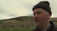 Kerry farmer offers €2K for information leading to the return of his 60 sheep