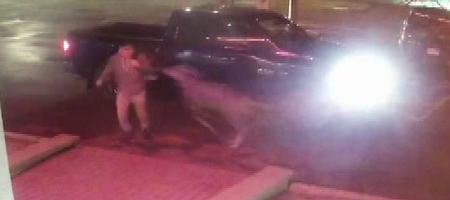 Nobody believed this man was in a drive-by deer attack… now there’s footage to prove it