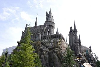 Know Harry Potter inside-out? This is the job for you