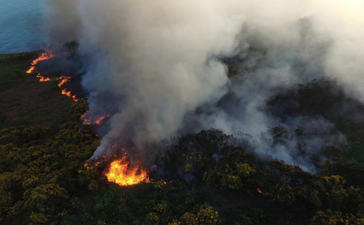 This video of gorse fires in Howth is terrifying