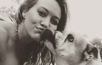 Hilary Duff is recruiting fans to help name her new puppy