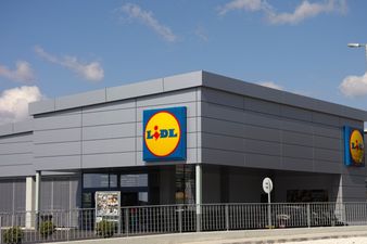 Lidl has announced the addition of 100 new jobs in Kildare