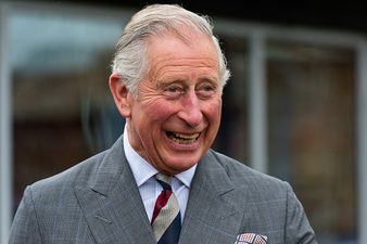 Prince Charles just broke a pretty impressive royal record